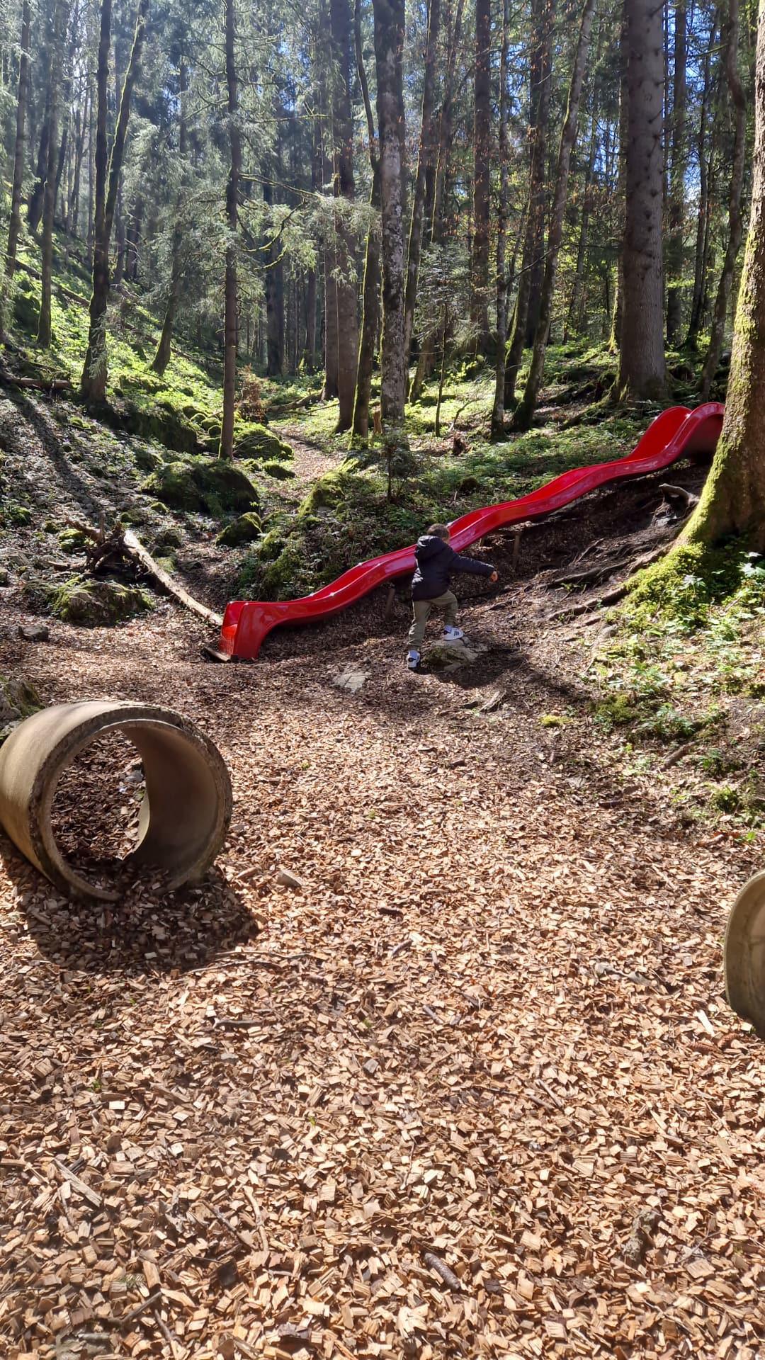 Lac Noir (Fribourg) : Une randonnée ludique et magique autour du Schwarzsee 🌲🐾 Lac Noir (Fribourg) : Une randonnée ludique et magique autour du Schwarzsee 🌲🐾