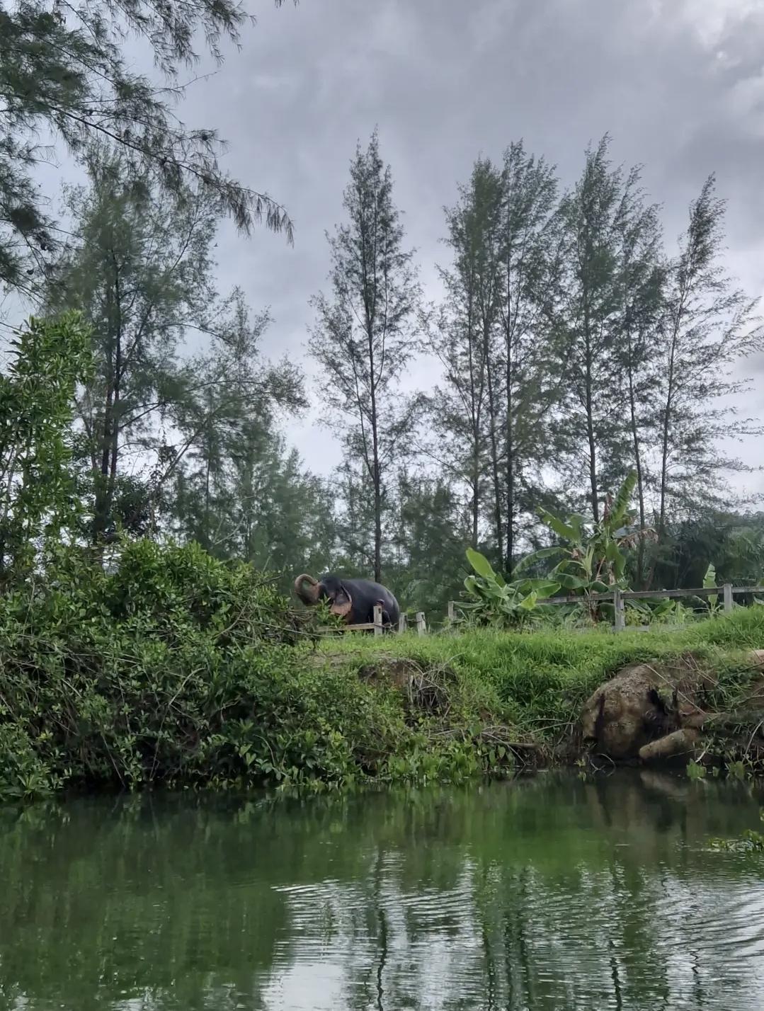 Khao Lak en famille : nature, plage et authenticité 🌴🐾 Khao Lak en famille : nature, plage et authenticité 🌴🐾