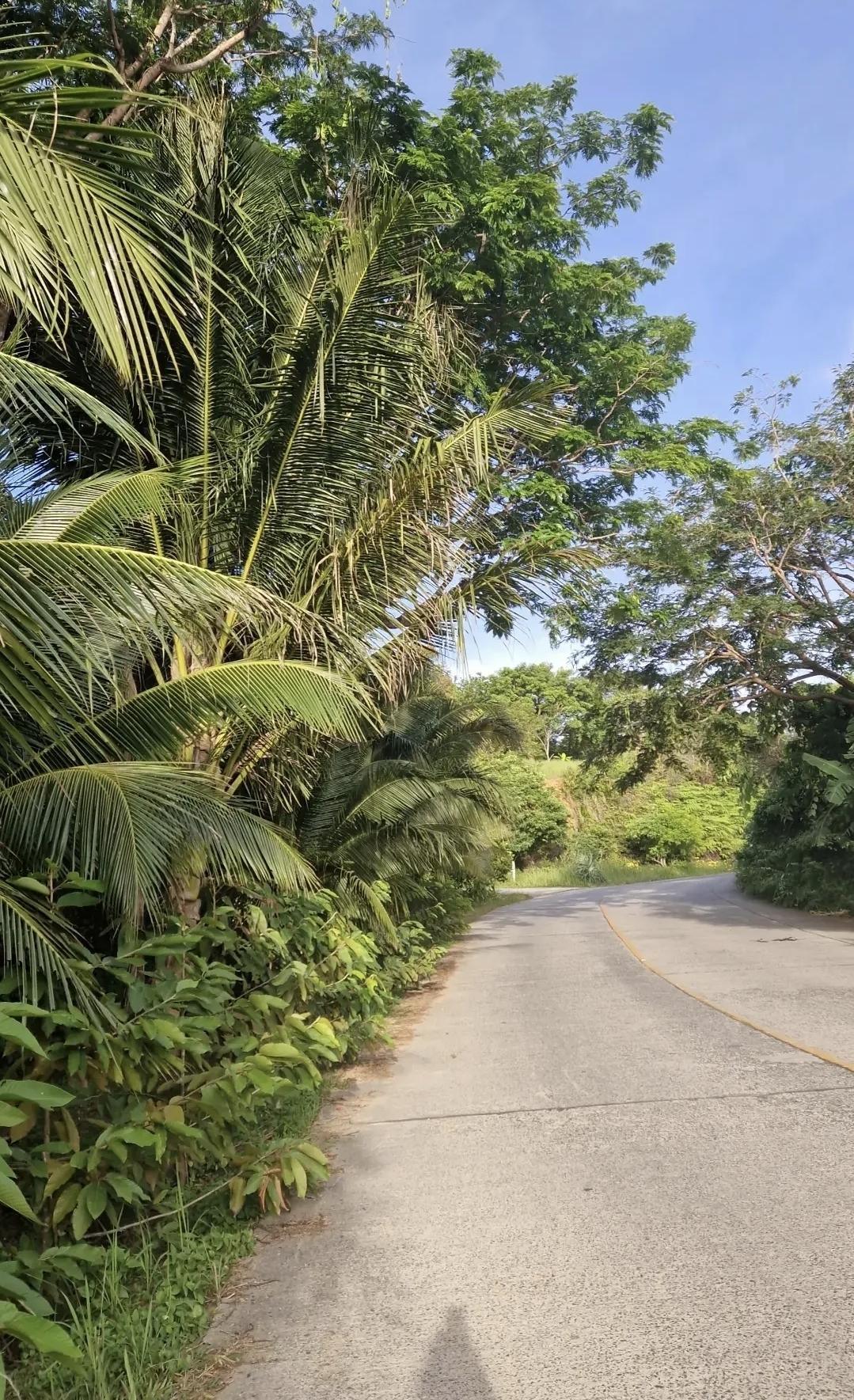 Big Buddha de Phuket : un incontournable… actuellement fermé 🙏🐒 Big Buddha de Phuket : un incontournable… actuellement fermé 🙏🐒