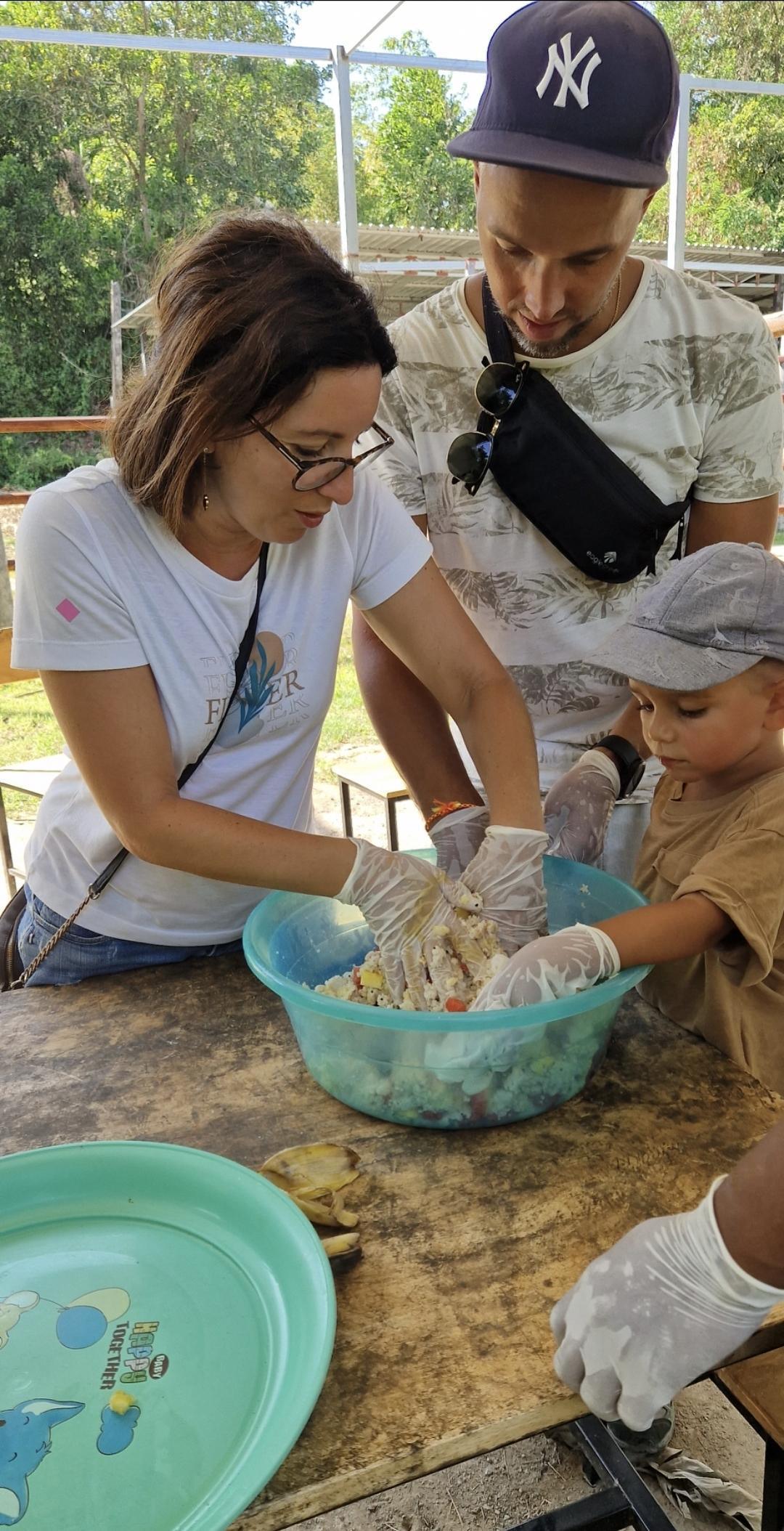 Bukit Elephant Park – Une rencontre respectueuse avec les éléphantes 🐘