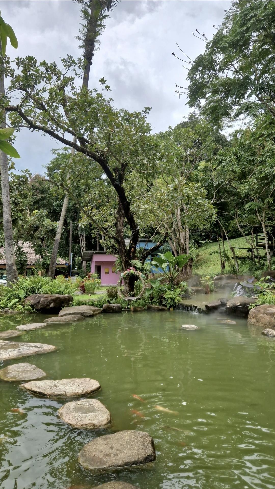 The Rabbit Hole – Une escapade féérique pour petits et grands 🐇