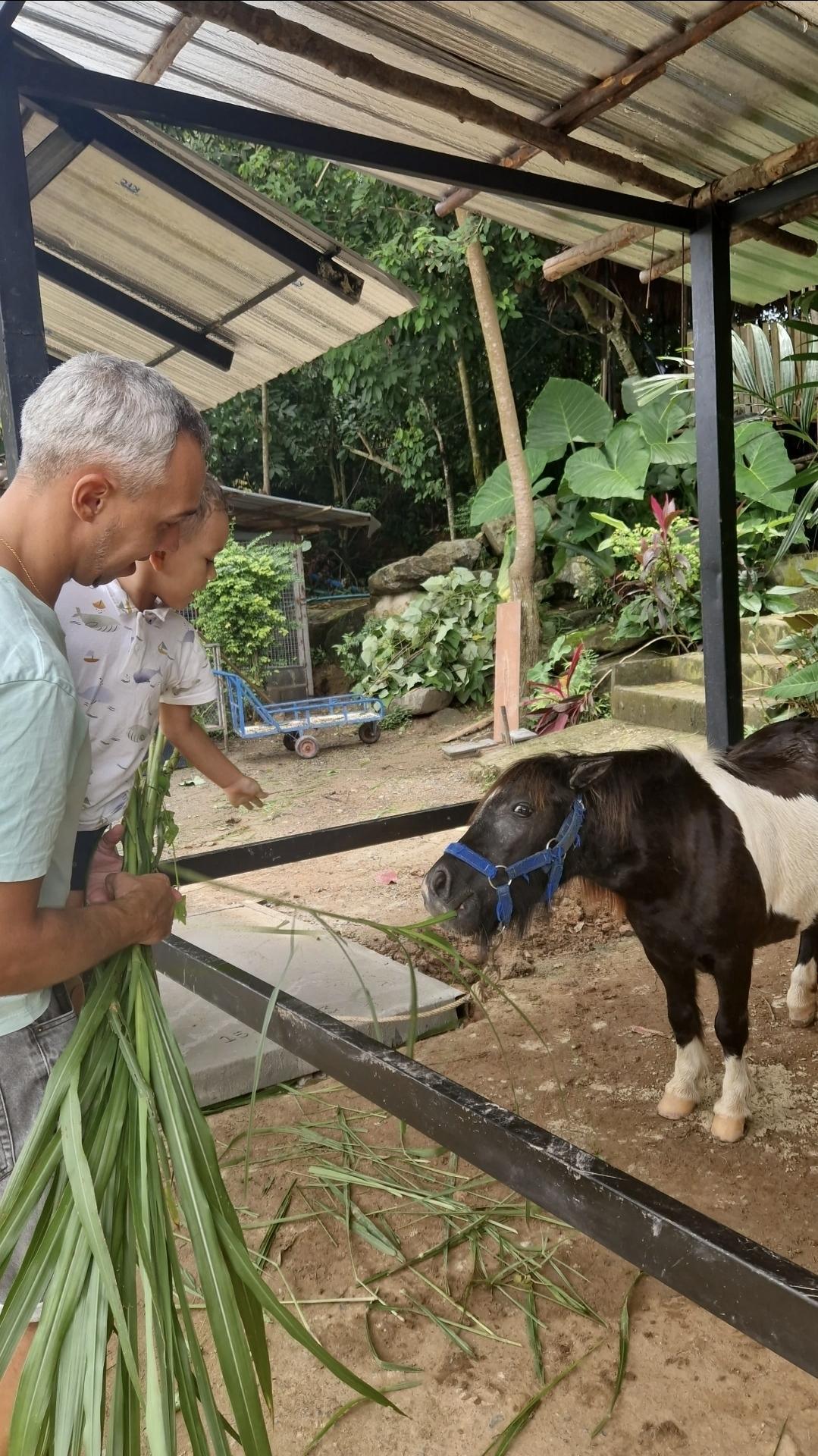 The Rabbit Hole – Une escapade féérique pour petits et grands 🐇 The Rabbit Hole – Une escapade féérique pour petits et grands 🐇