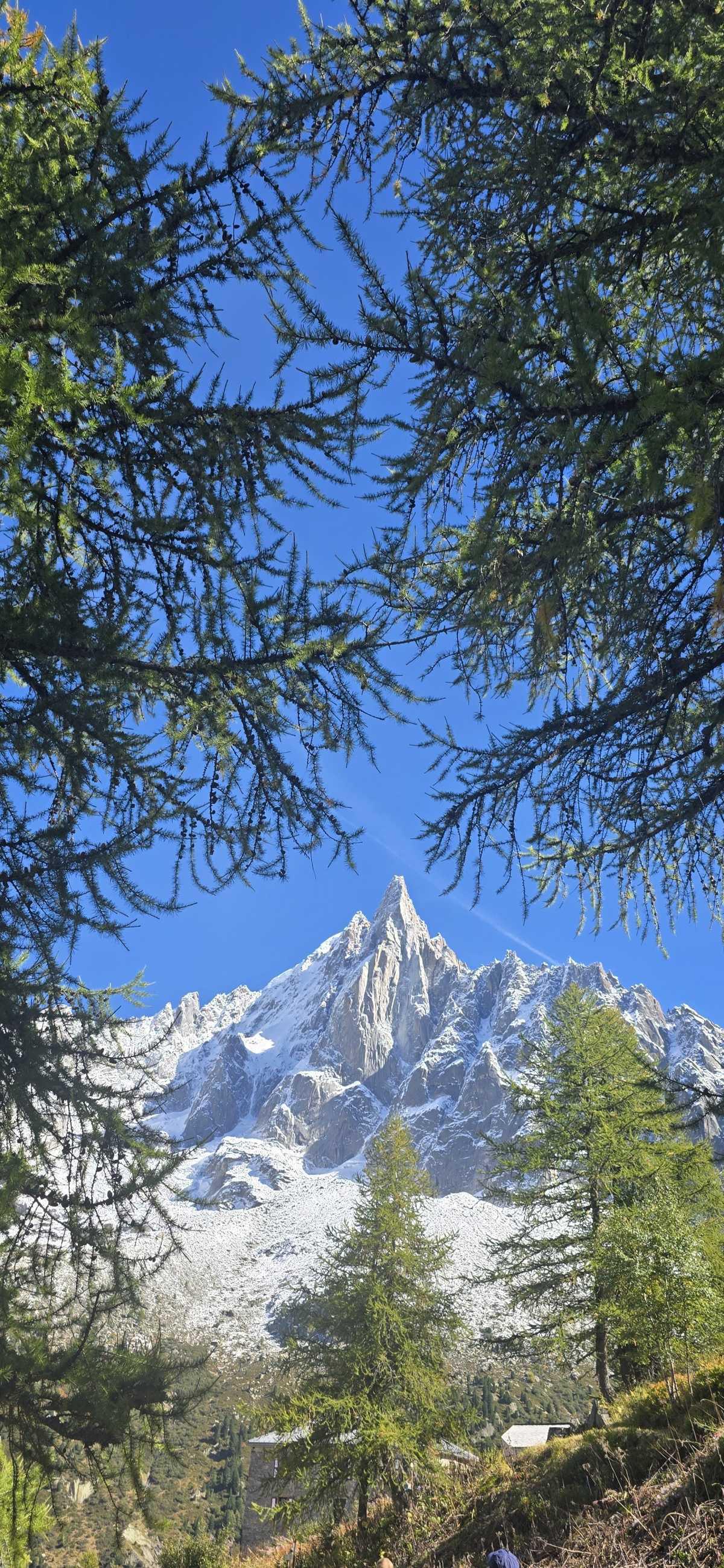 Mer de Glace et Grotte de Glace à Chamonix ❄️