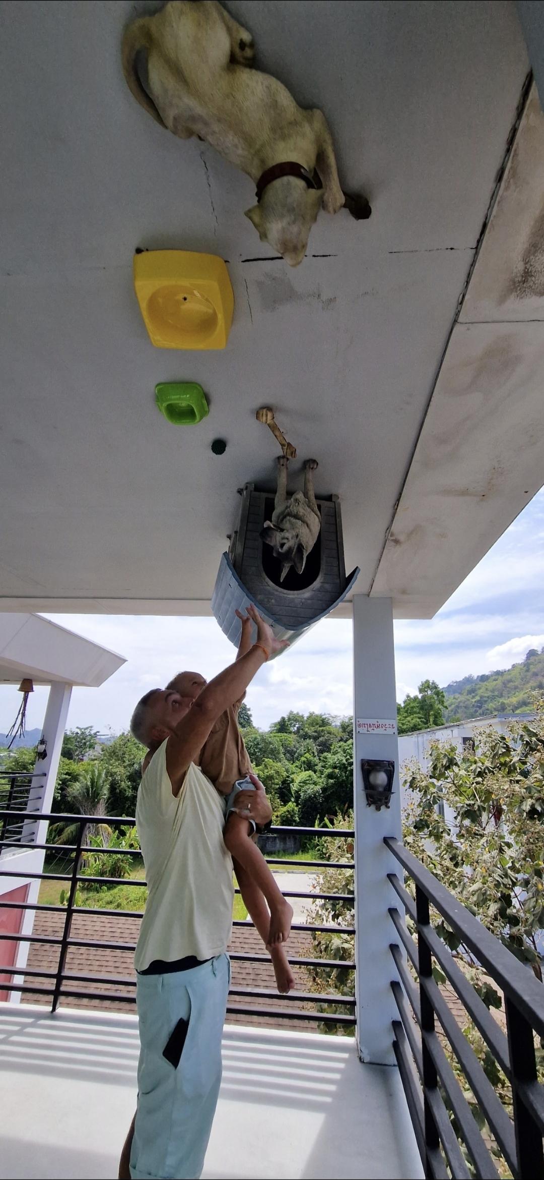 Upside Down House – La maison à l’envers pour des photos rigolotes 📸