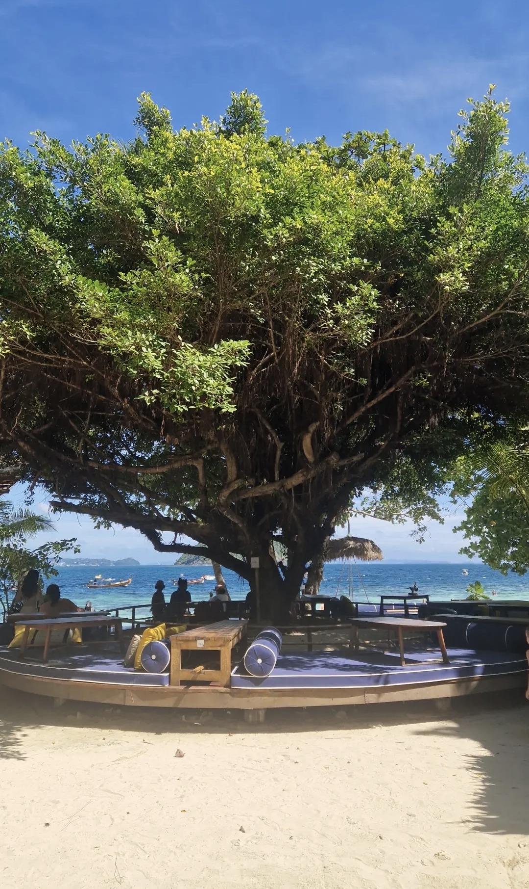 Coral Island đ â Une escapade magique en famille Coral Island đ â Une escapade magique en famille