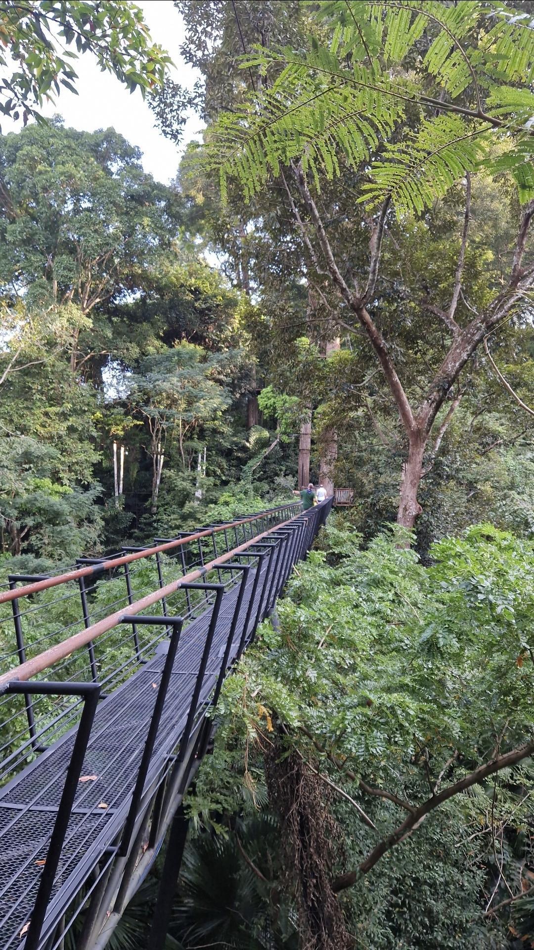 Hanuman World 🌿 – Aventure et sensations en famille à Phuket Hanuman World 🌿 – Aventure et sensations en famille à Phuket