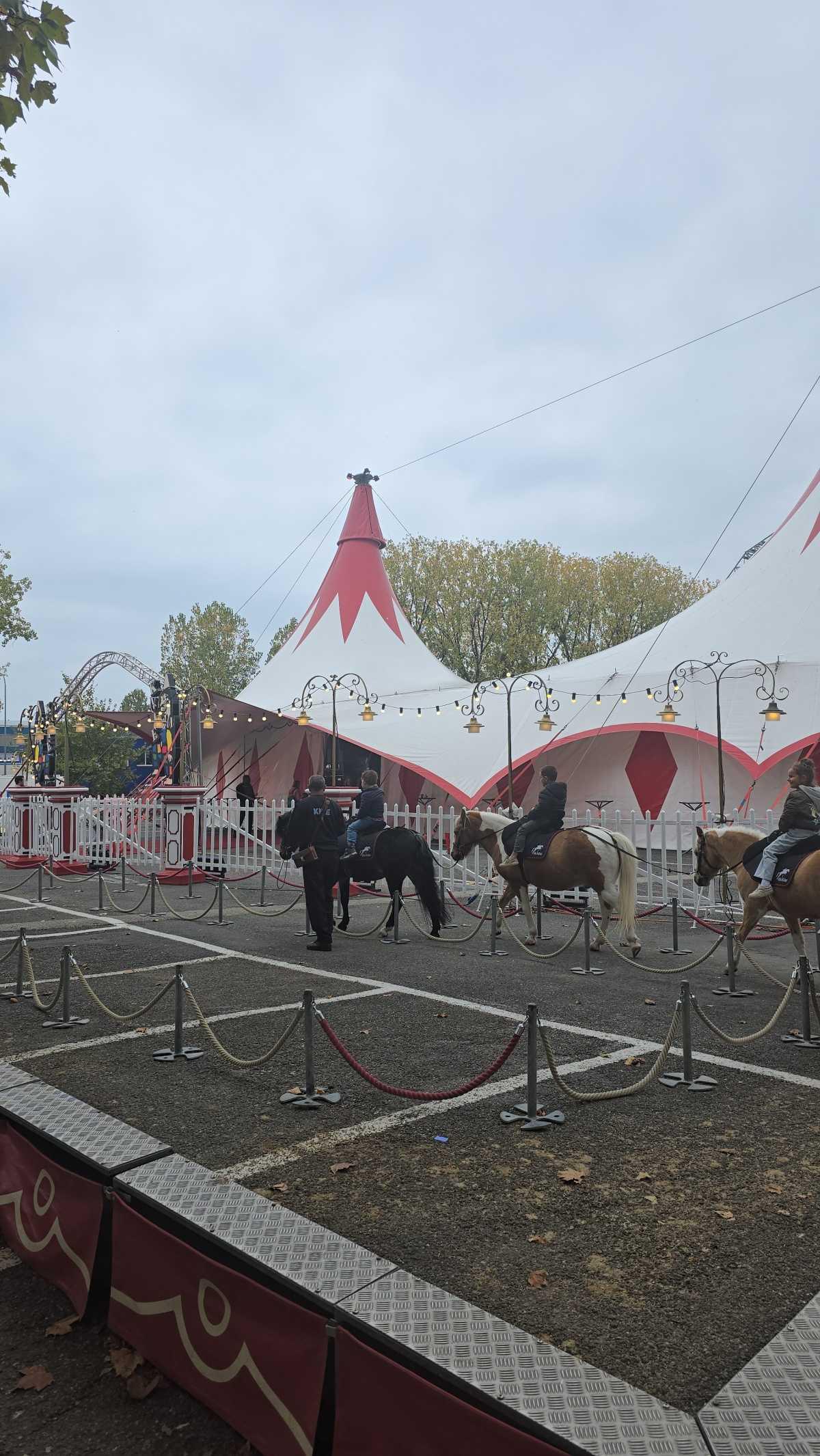 🎪 Cirque Knie à Lausanne – Un moment magique à partager en famille