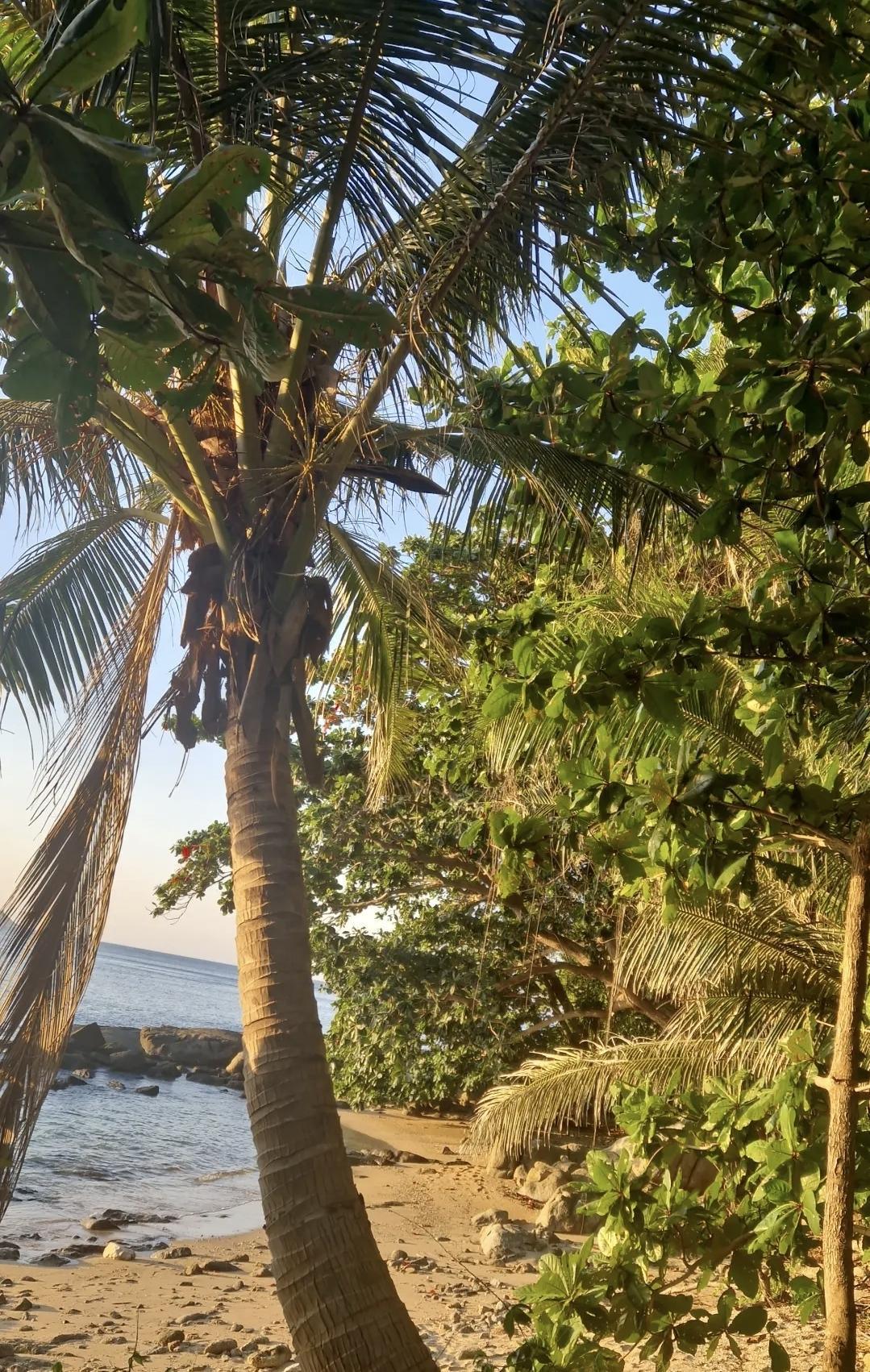 🥾 Randonnée Black Rock – point de vue époustouflant à Nai Harn 🥾 Randonnée Black Rock – point de vue époustouflant à Nai Harn