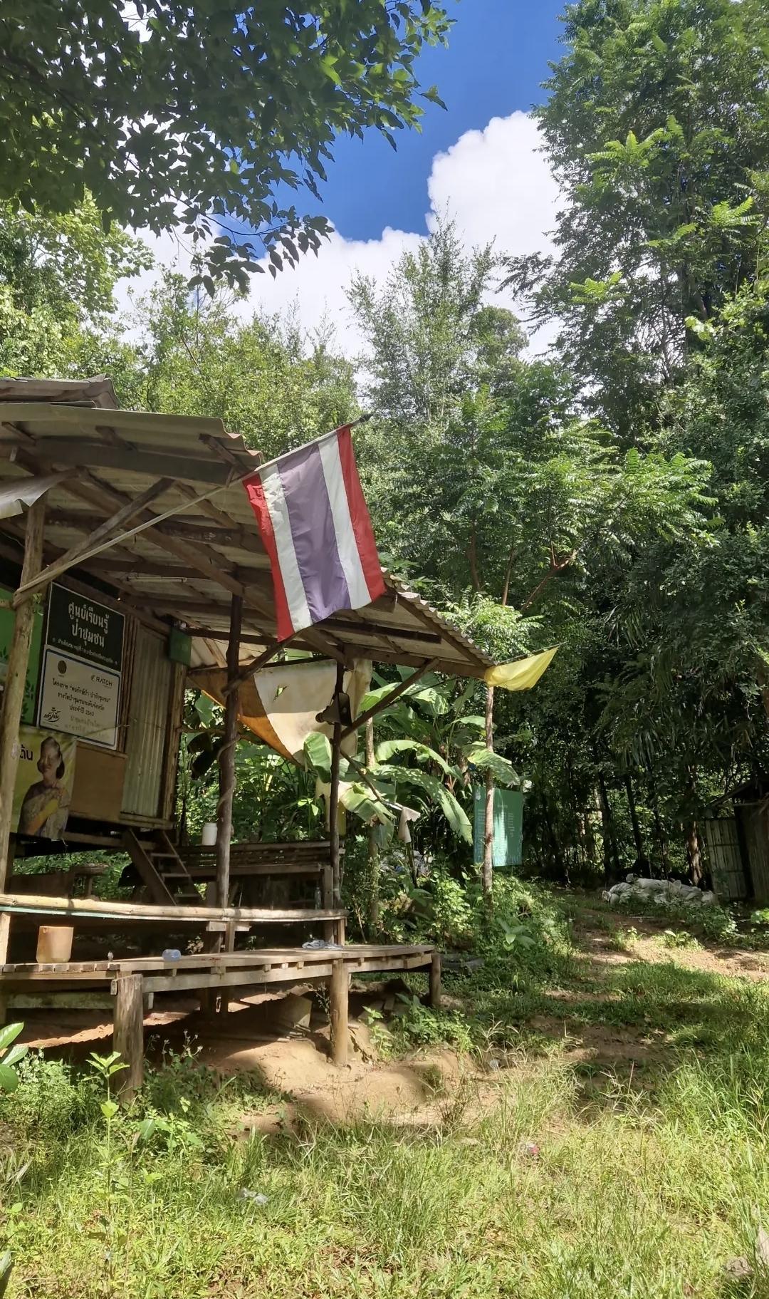 🌴 Nature Phuket Reserve Trail – balade immersive en jungle 🐒