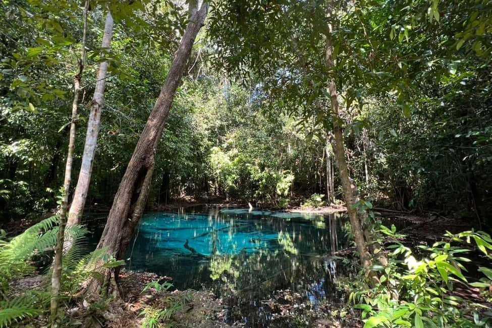 🌿 Emerald Pool – La nature à Krabi à tester absolument 🏞️