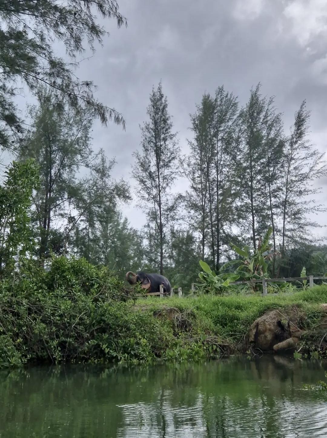 🌴 Khao Lak, la Thaïlande en mode nature et sérénité 🌴 Khao Lak, la Thaïlande en mode nature et sérénité