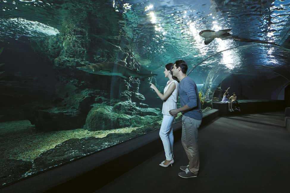 đ Sea Life Bangkok & MusĂ©e Madame Tussauds â Une journĂ©e parfaite par temps de pluie â đ Sea Life Bangkok & MusĂ©e Madame Tussauds â Une journĂ©e parfaite par temps de pluie â