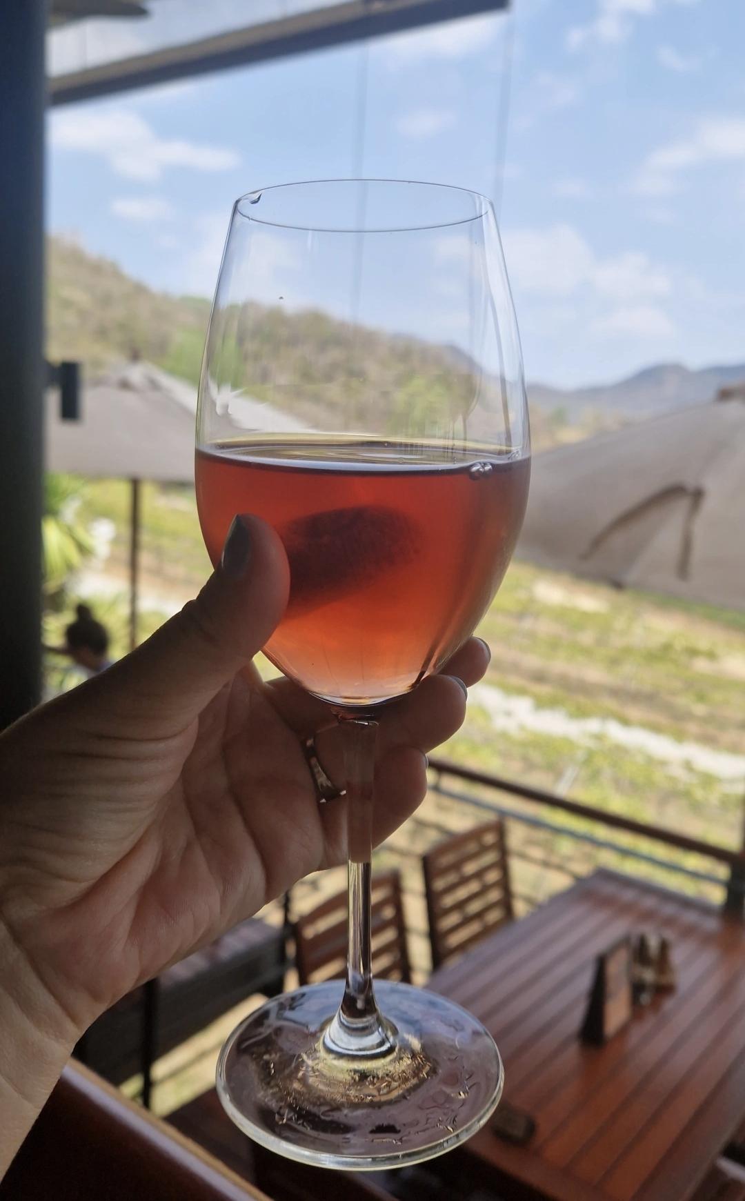 Monsoon Valley Vineyard – une expérience viticole insolite en famille 🍇🐘