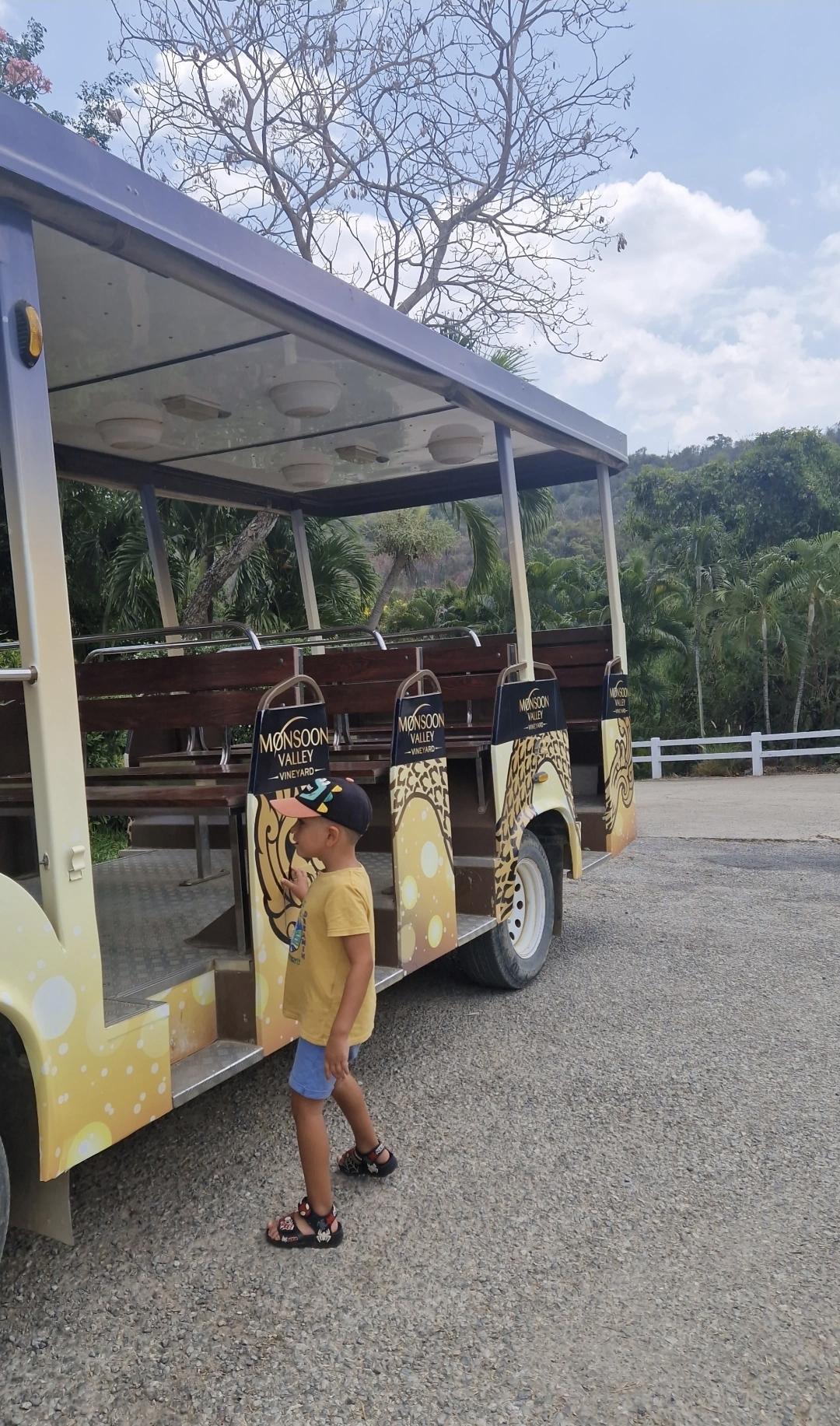 Monsoon Valley Vineyard – une expérience viticole insolite en famille 🍇🐘