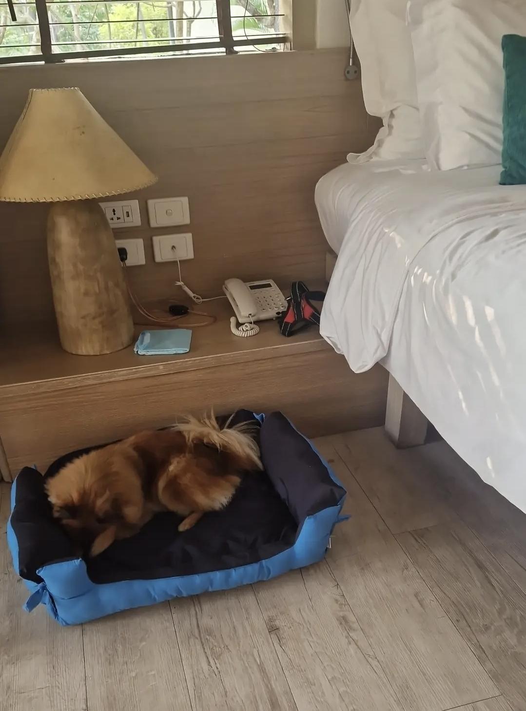 🌴 Wyndham Hua Hin Pranburi Resort & Villas – Le paradis paisible entre mer et nature 👨‍👩‍👧🐶