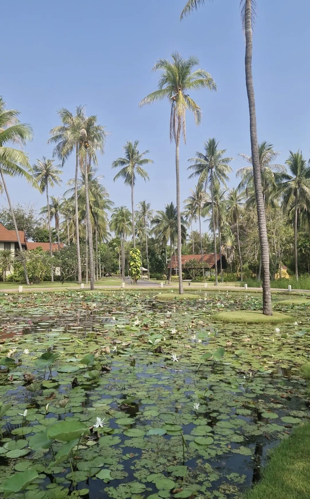 🌴 Wyndham Hua Hin Pranburi Resort & Villas – Le paradis paisible entre mer et nature 👨‍👩‍👧🐶