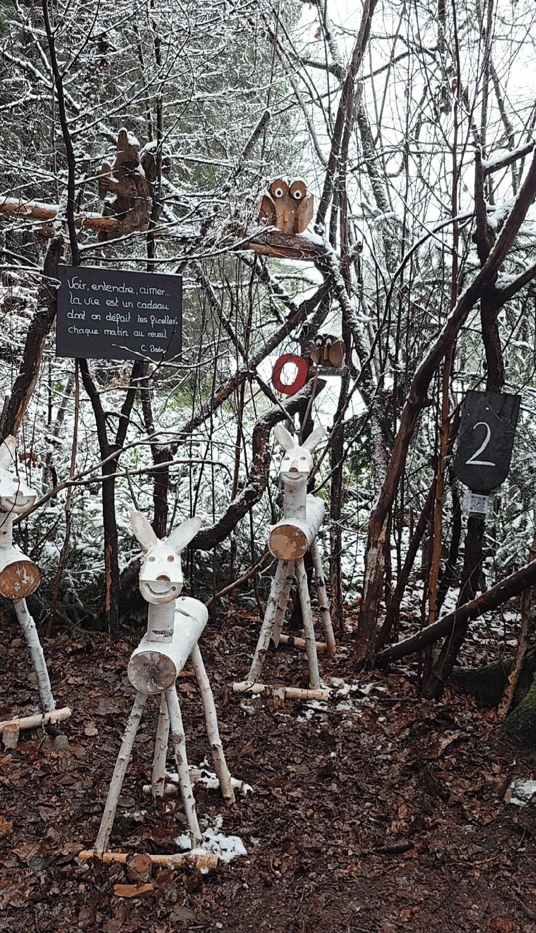 Le Chemin de l’Avent en Suisse – La balade la plus féérique de Romandie 🎄✨