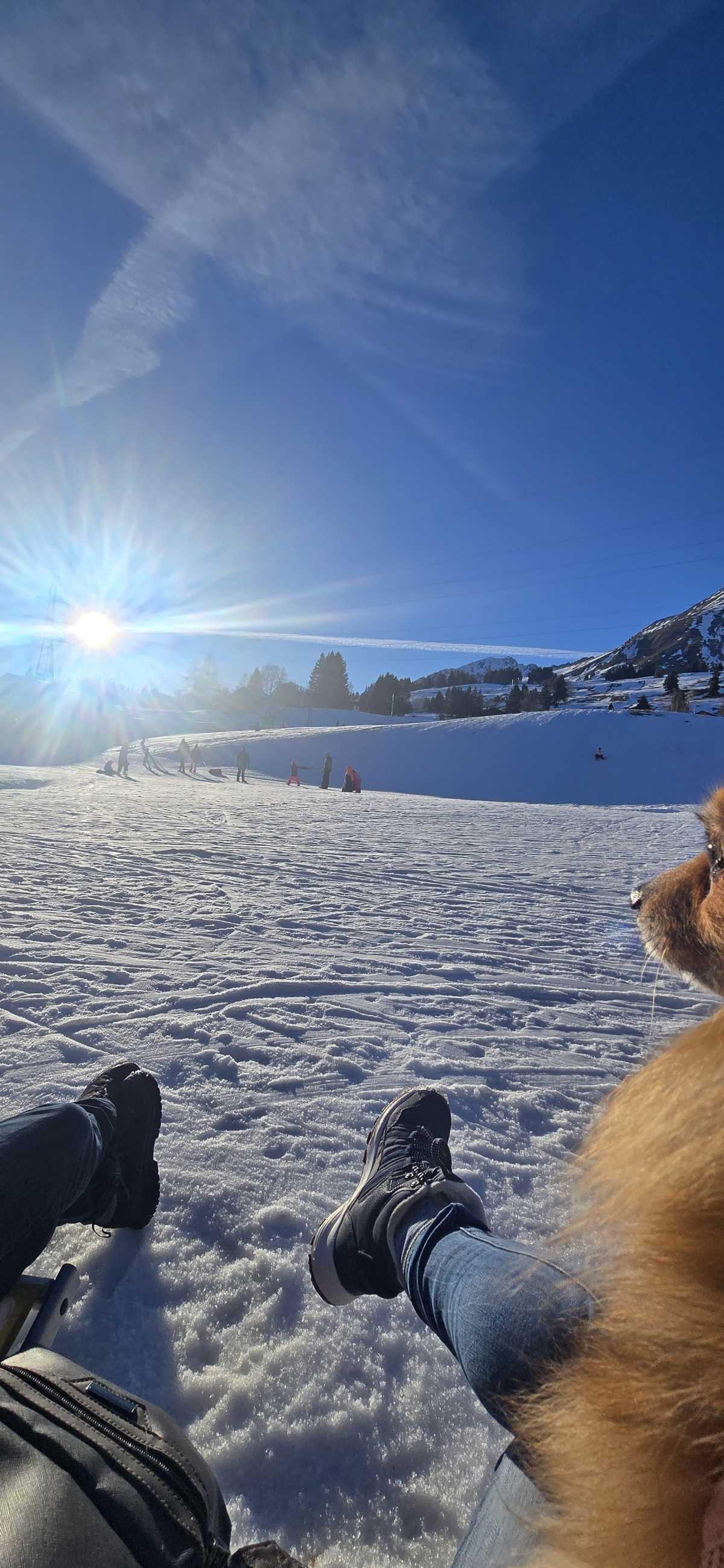 ❄️ Les Mosses en hiver : balades enneigées & plaisirs simples en famille