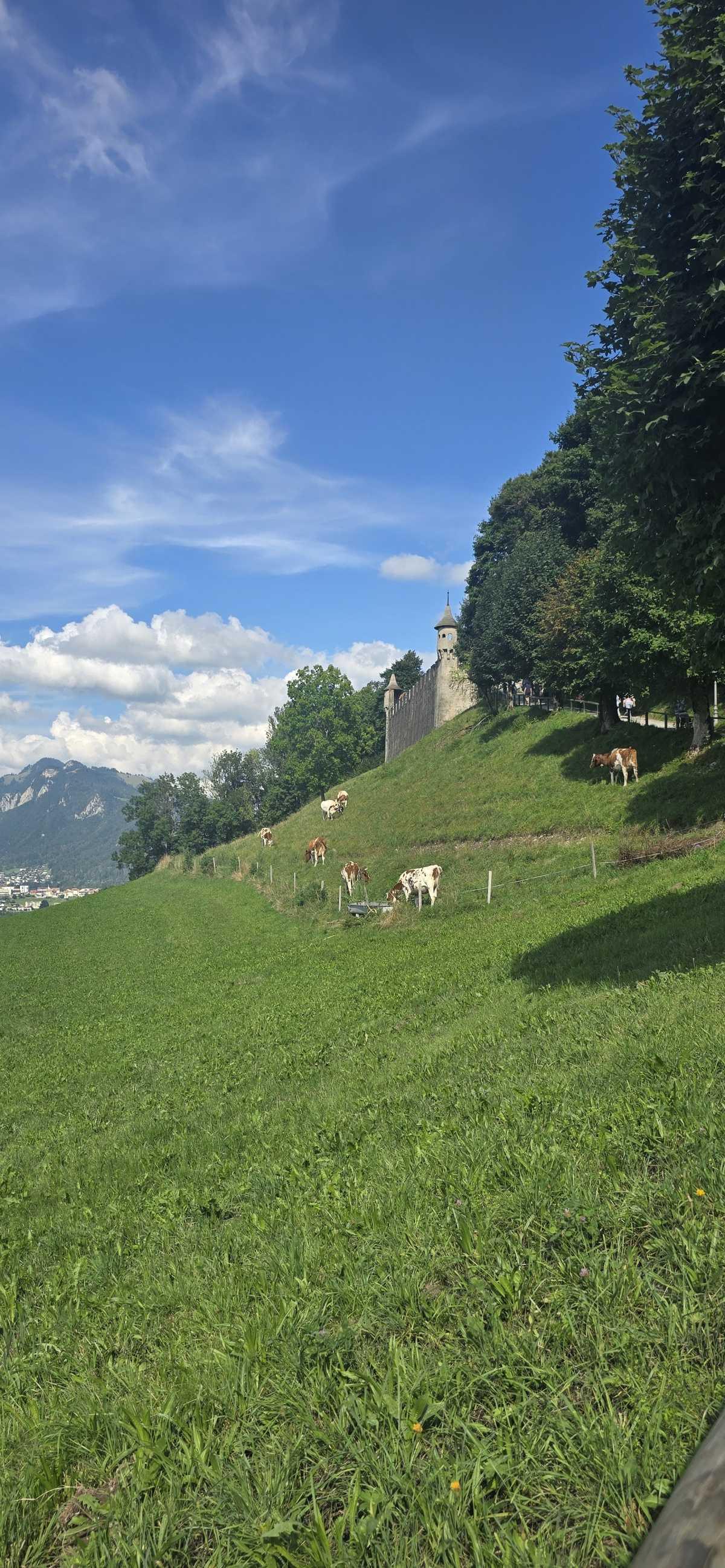 Région de Gruyère — Château, chocolat & nature 🍫