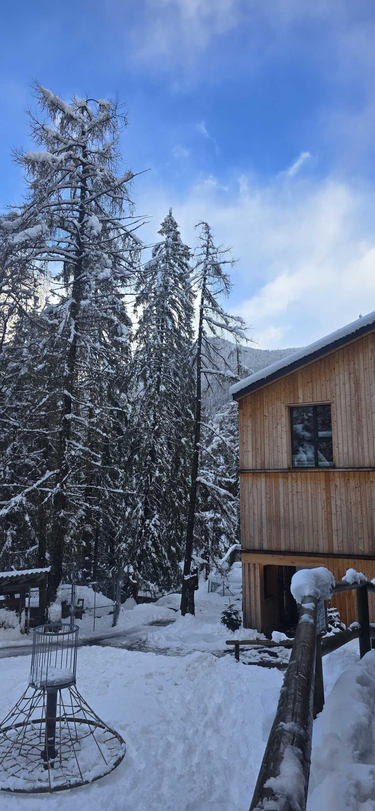 Hotel Zoo des Marécottes — Nature, animaux et moment magique en famille 🐻🌲 Hotel Zoo des Marécottes — Nature, animaux et moment magique en famille 🐻🌲