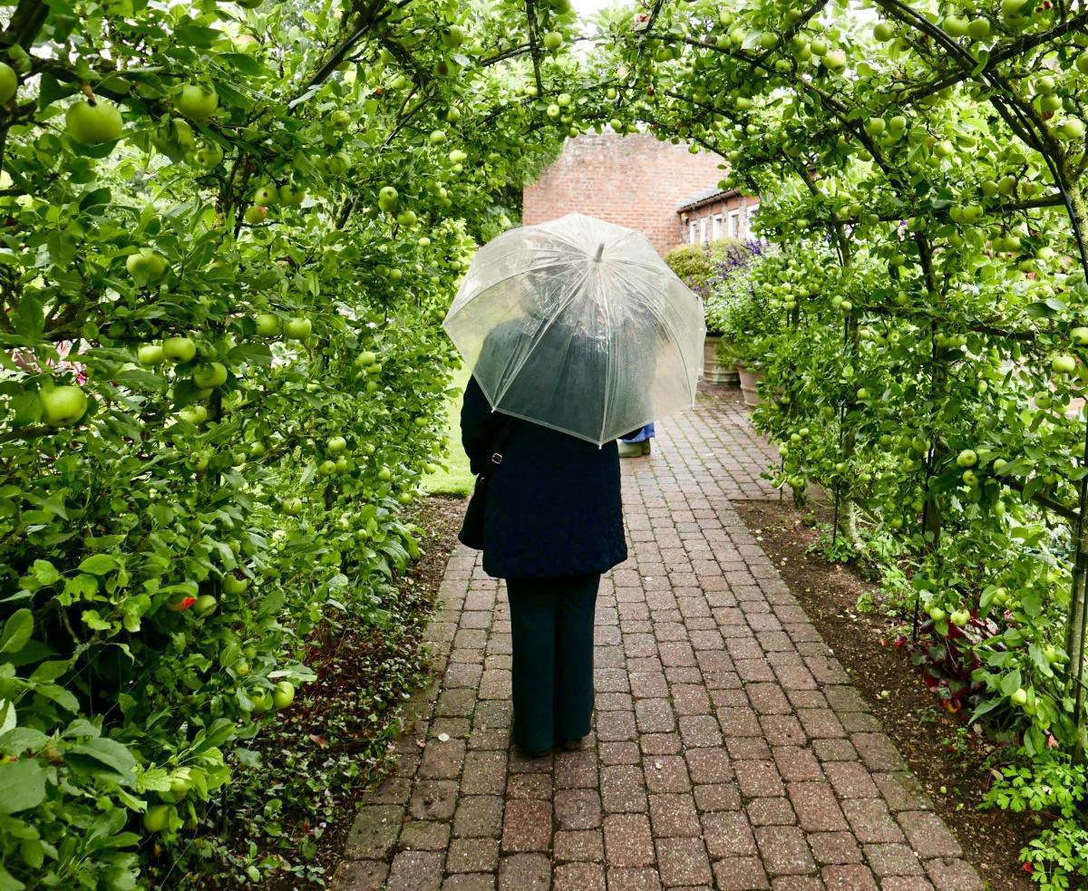 7 أسئلة للتأمل الذاتي تصنع سعادتك هذا العام 7 أسئلة للتأمل الذاتي تصنع سعادتك هذا العام