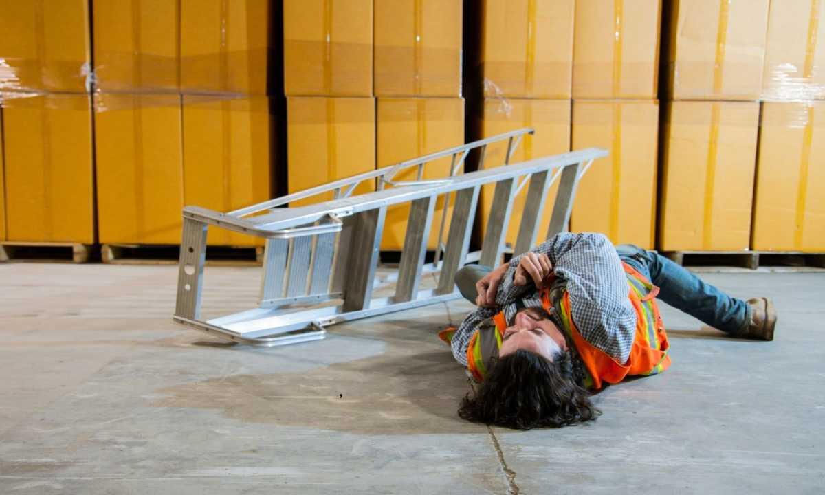 Présentation du service Présentation du service