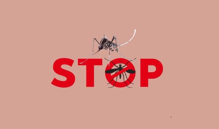 Lutte contre le moustique tigre : un enjeu de santé au travail