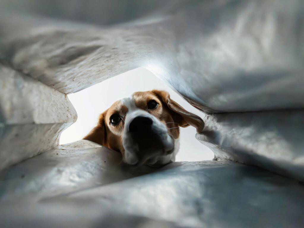 I am a learner! I am a learner!