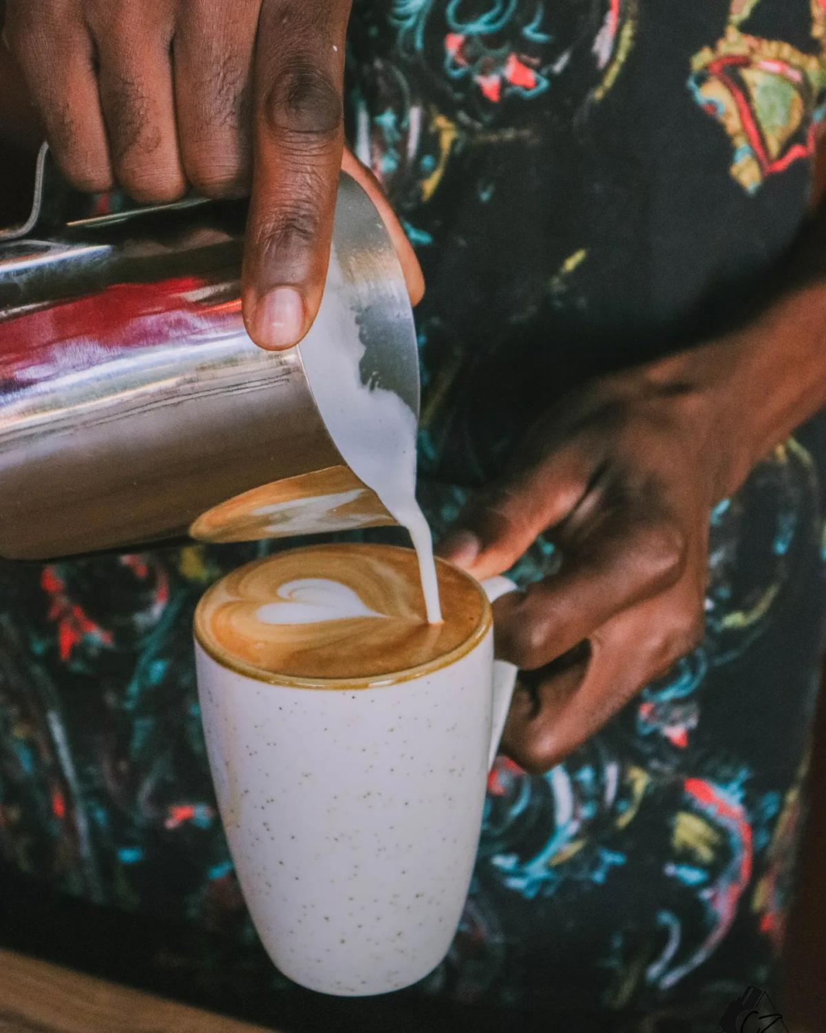 The Village Garden The Village Garden