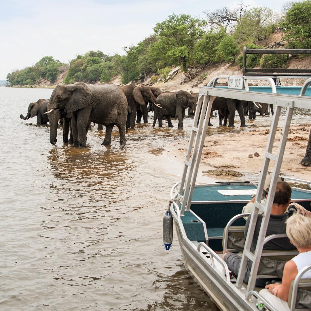 Zambezi Queen Collection Zambezi Queen Collection