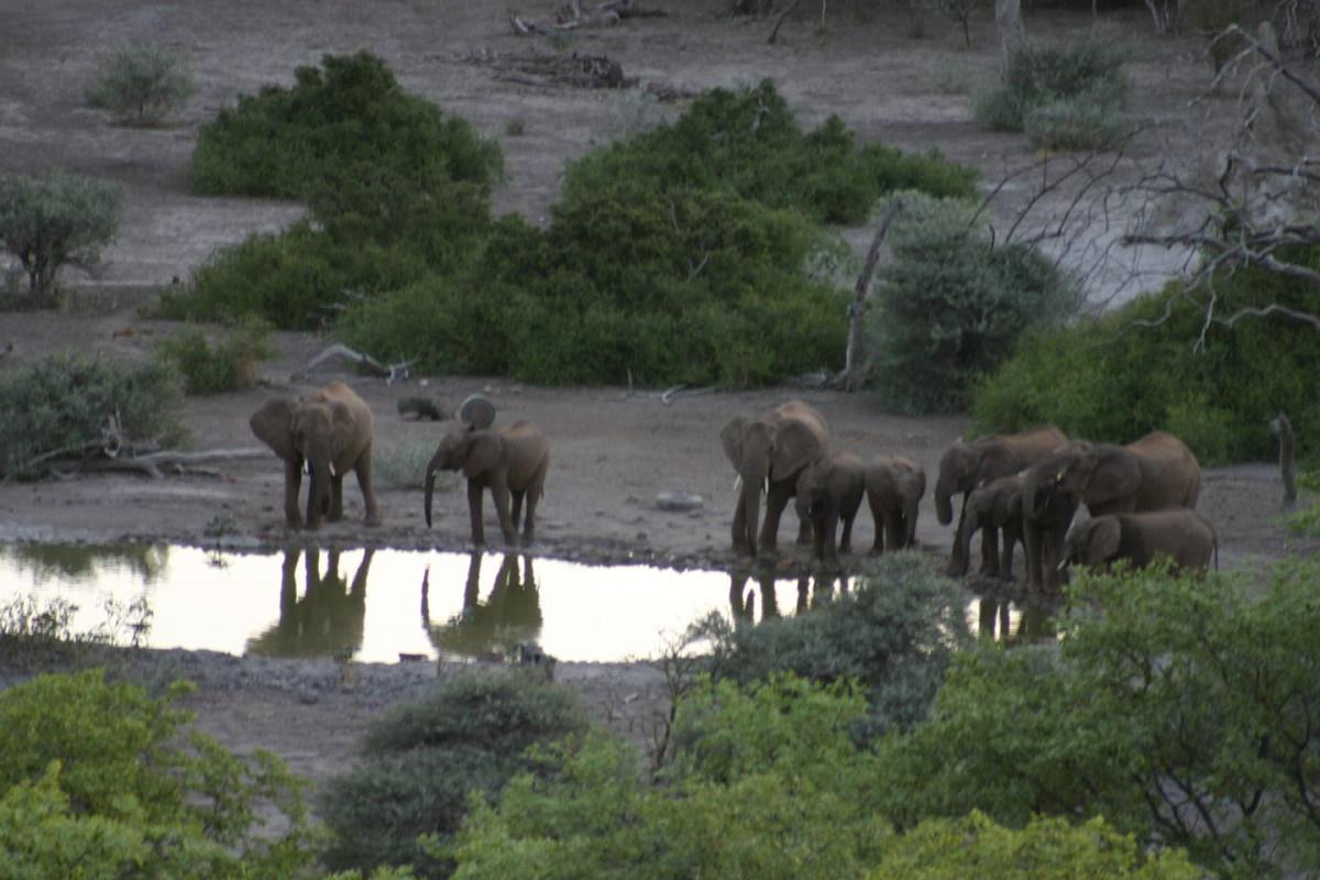 Bambatsi Guest Farm