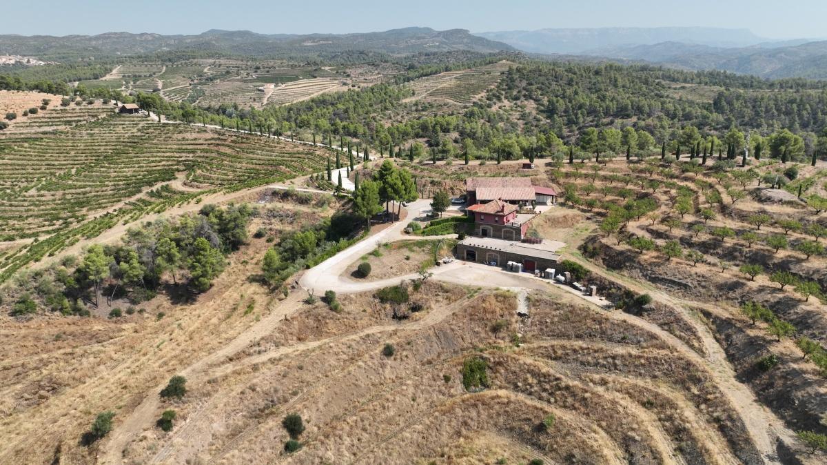 🍇 Descobreix un celler amb mina inclosa: Clos Berenguer