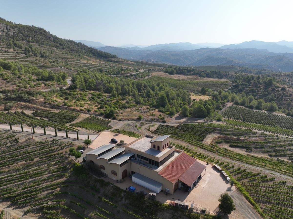 🍇 Cal Grau, una aventura que s'agermana amb Ribera del Duero, Toro i la Rioja