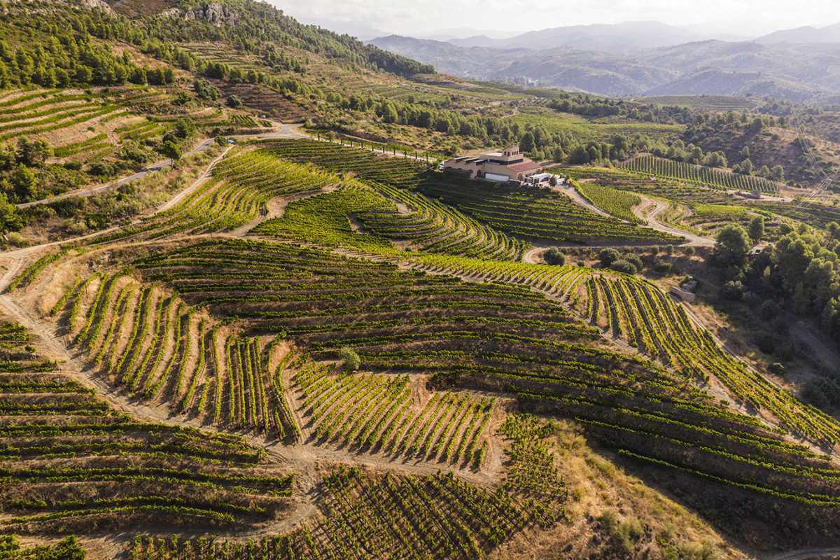 🍇 Cal Grau, una aventura que s'agermana amb Ribera del Duero, Toro i la Rioja 🍇 Cal Grau, una aventura que s'agermana amb Ribera del Duero, Toro i la Rioja