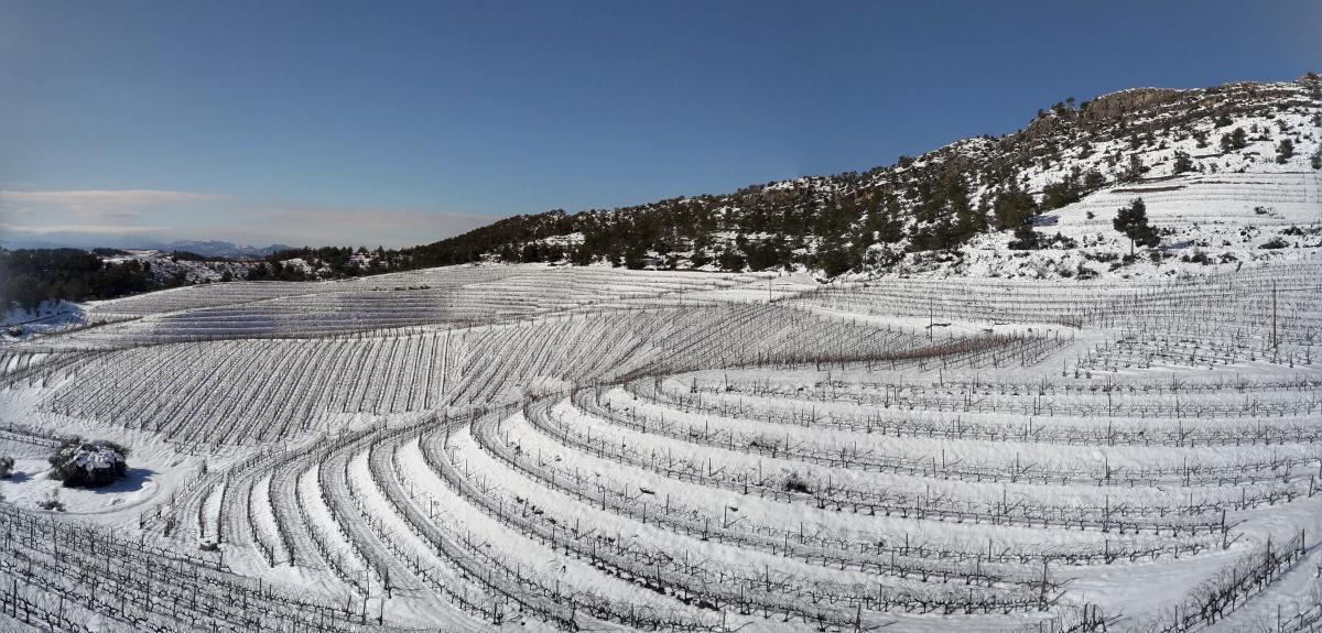 🍇 Cal Grau, una aventura que s'agermana amb Ribera del Duero, Toro i la Rioja 🍇 Cal Grau, una aventura que s'agermana amb Ribera del Duero, Toro i la Rioja