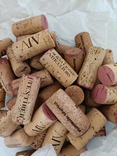 🍇 Alicia i Josep Viticultors vins amb caràcter DOQ Priorat 🍇 Alicia i Josep Viticultors vins amb caràcter DOQ Priorat