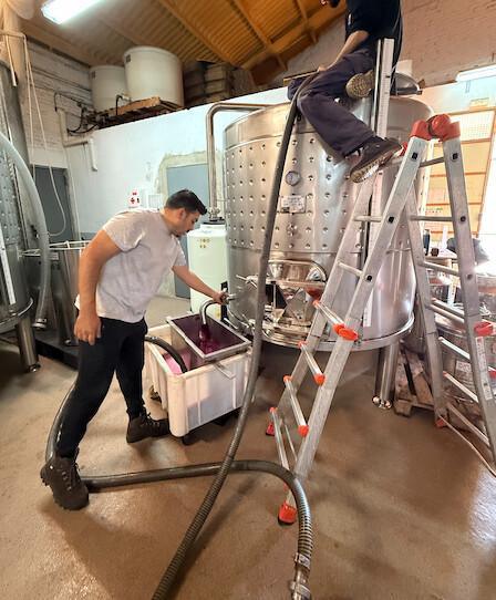 🍇 Orto Vins. Viu la màgia del Priorat en cada copa 🍇 Orto Vins. Viu la màgia del Priorat en cada copa