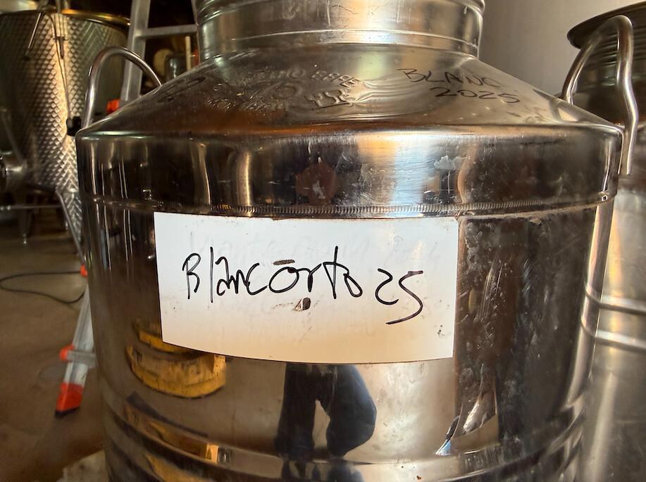 🍇 Orto Vins. Viu la màgia del Priorat en cada copa