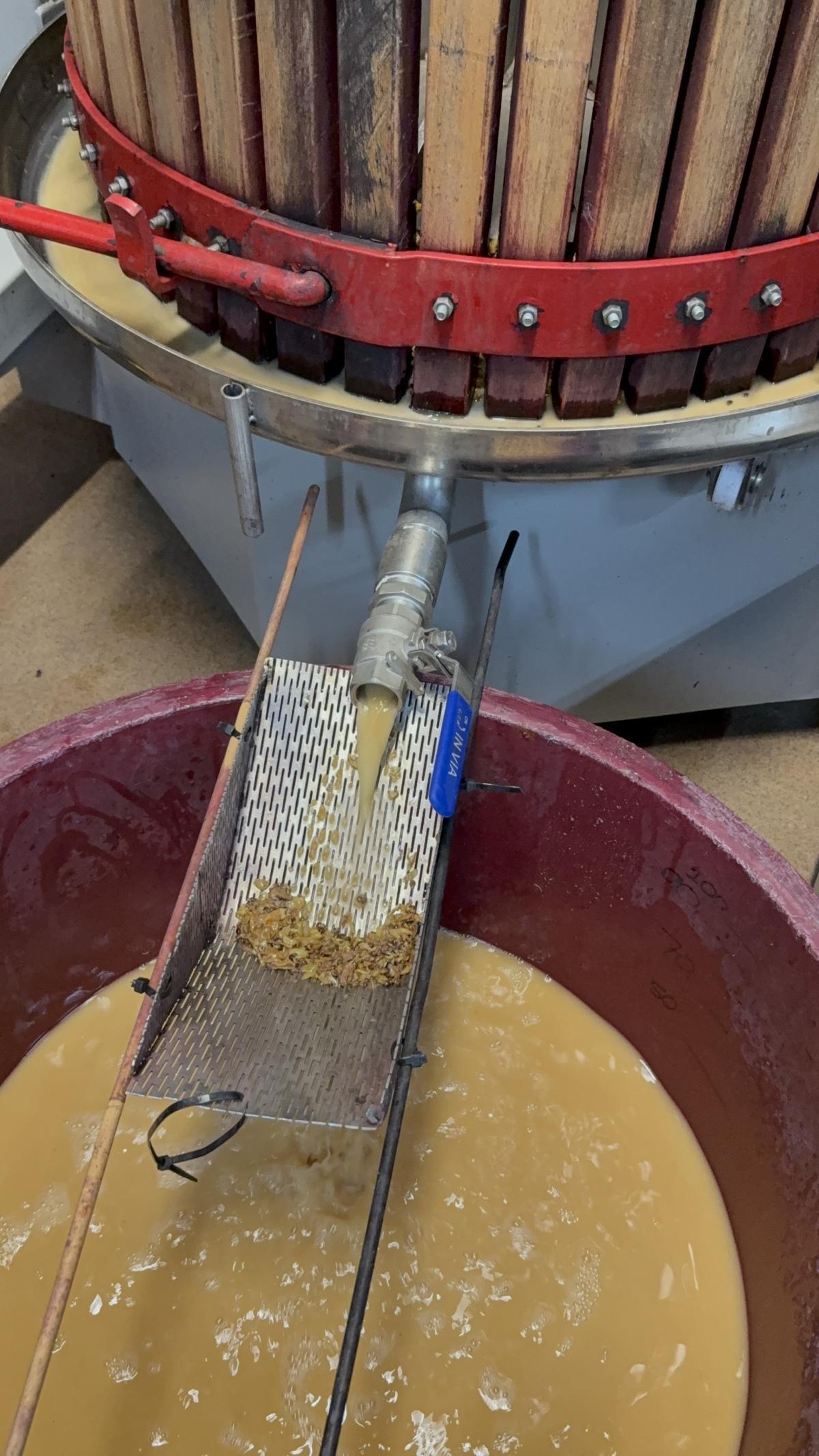 🍇 Orto Vins. Viu la màgia del Priorat en cada copa