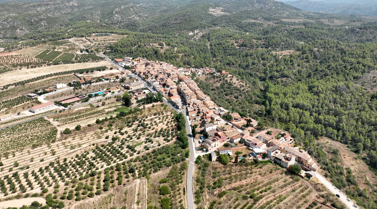 Aèria del municipi
