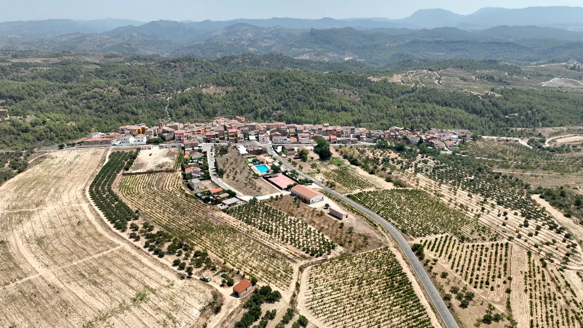 Vista aèria de El Molar