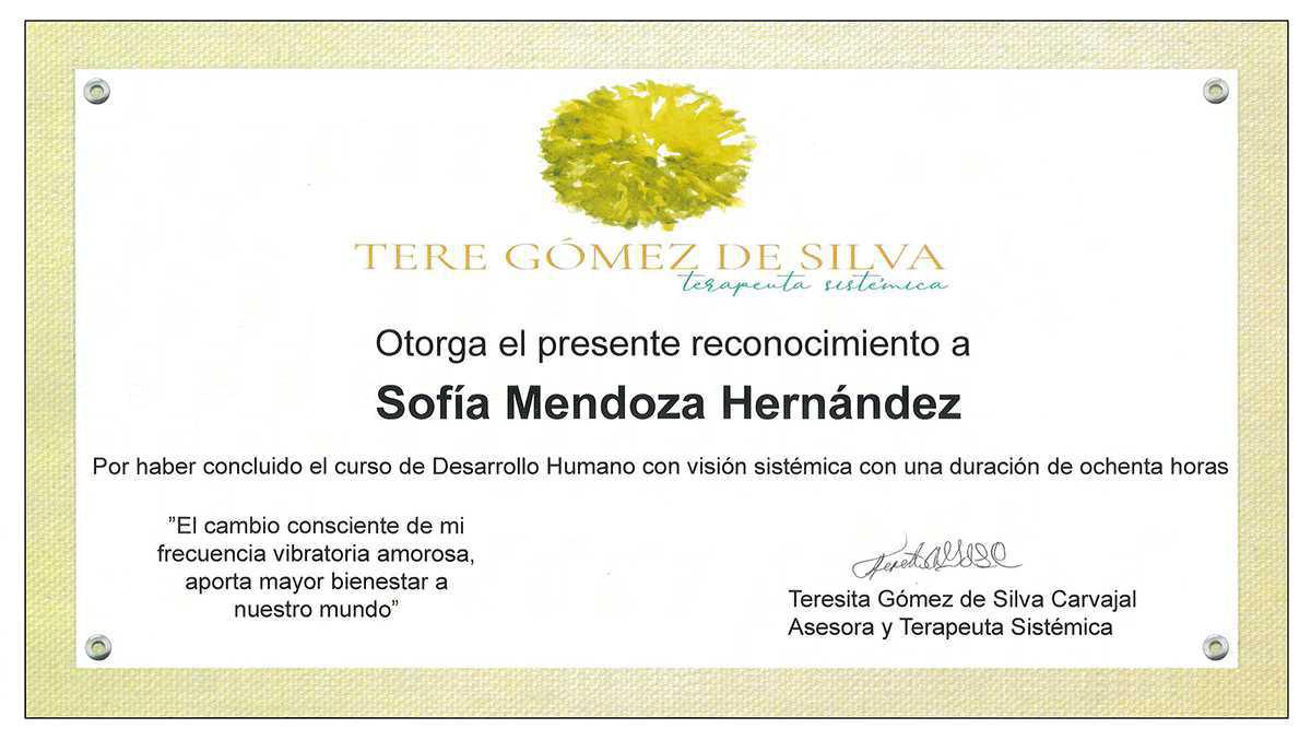 Sofía Mendoza Hernández Sofía Mendoza Hernández
