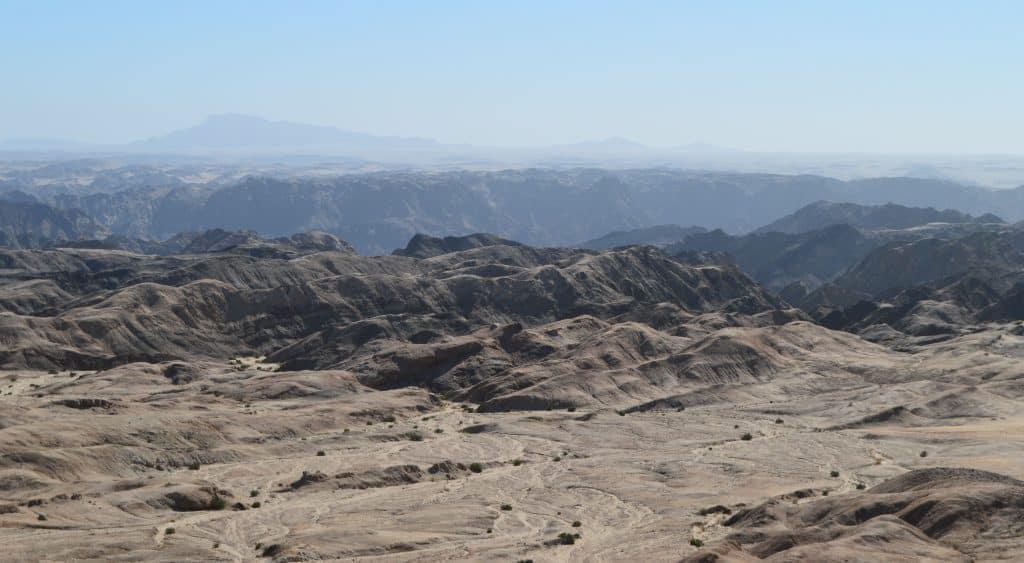 Welwitschia Tour