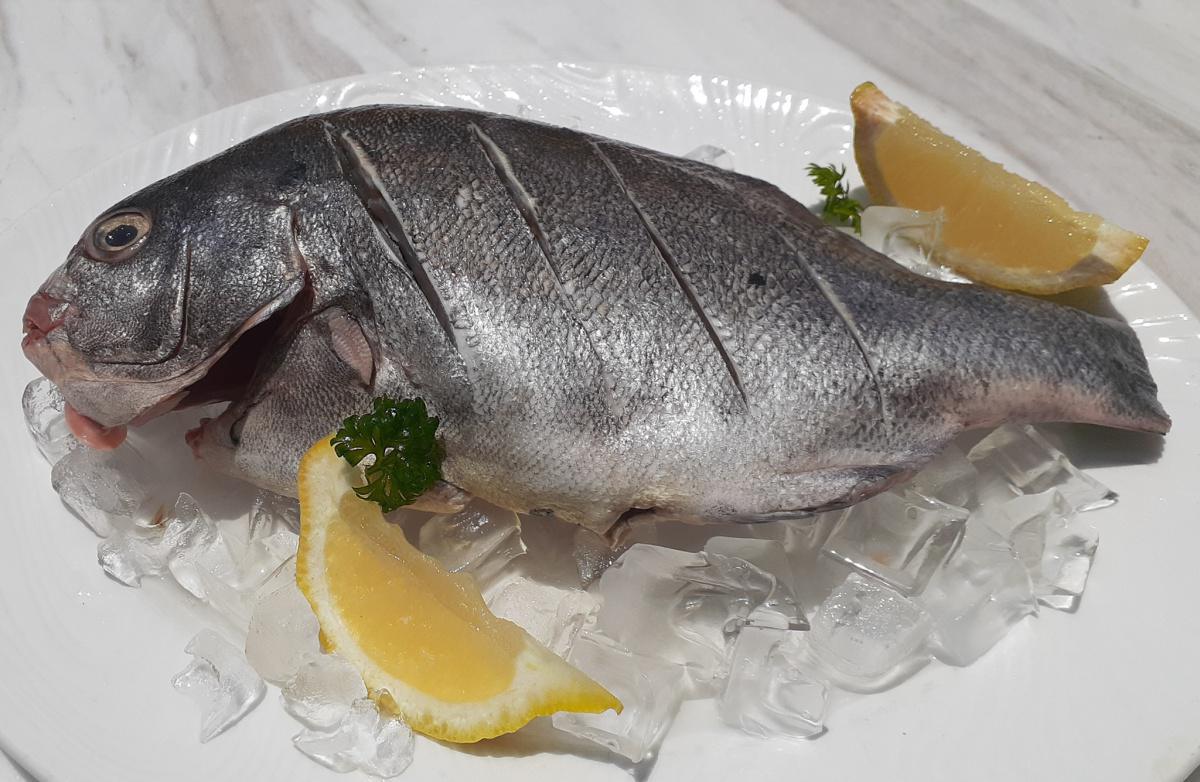 Ocean Cellar Ocean Cellar