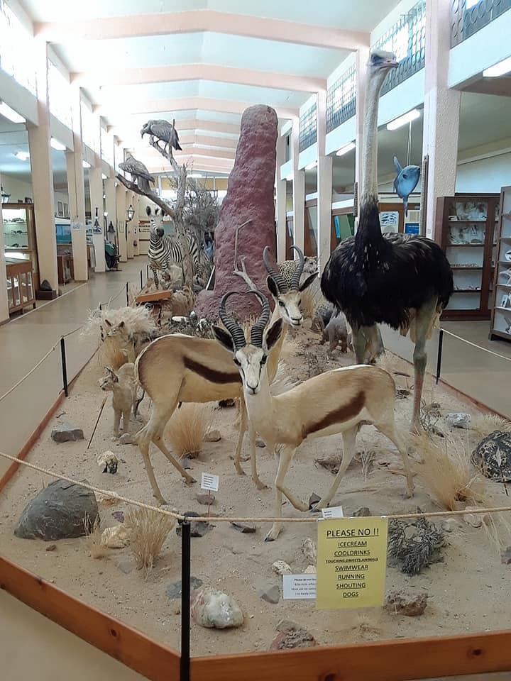 Swakopmund Museum Swakopmund Museum