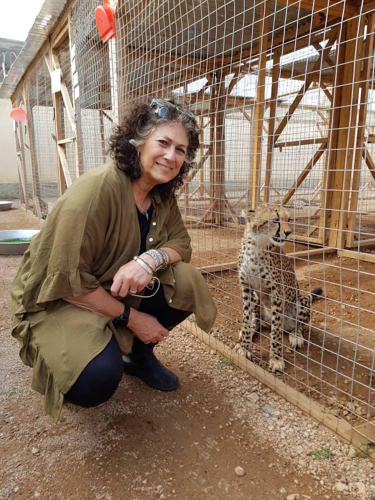 Cheetah Conservation Fund Cheetah Conservation Fund