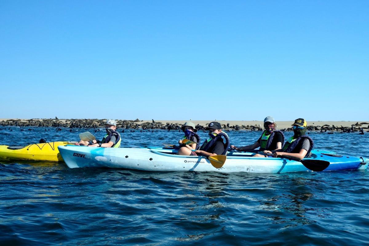 Seal Kayaking & Sandwich Harbour Dune Drive📍Swakopmund▶️N$ 3935˺ pp Seal Kayaking & Sandwich Harbour Dune Drive📍Swakopmund▶️N$ 3935˺ pp