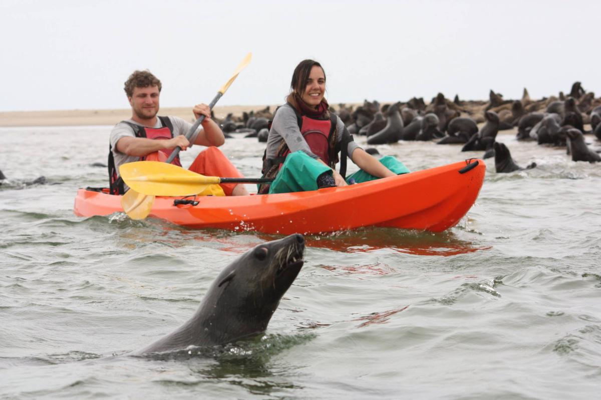 Kayak & Sandwich Harbour Tour📍Swakopmund▶️N$ 4000˺ pp Kayak & Sandwich Harbour Tour📍Swakopmund▶️N$ 4000˺ pp