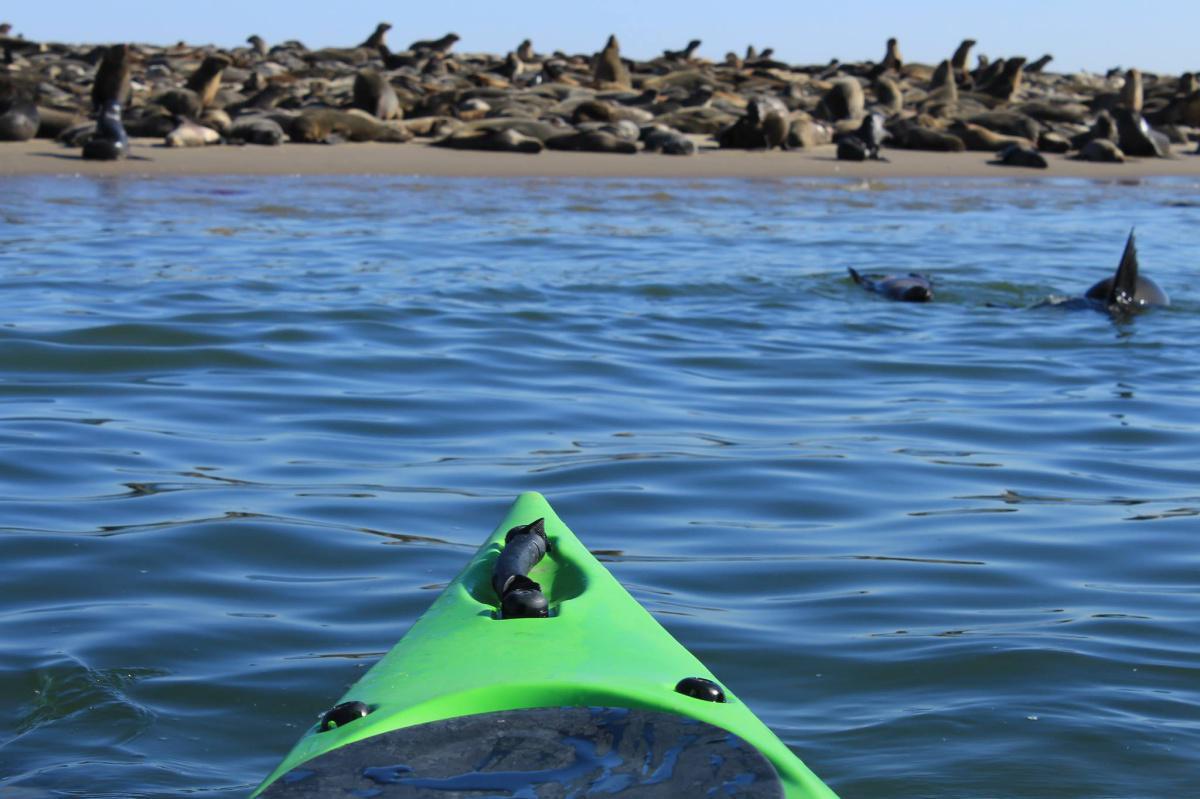 Kayak & Sandwich Harbour Tour📍Swakopmund▶️N$ 4000˺ pp Kayak & Sandwich Harbour Tour📍Swakopmund▶️N$ 4000˺ pp