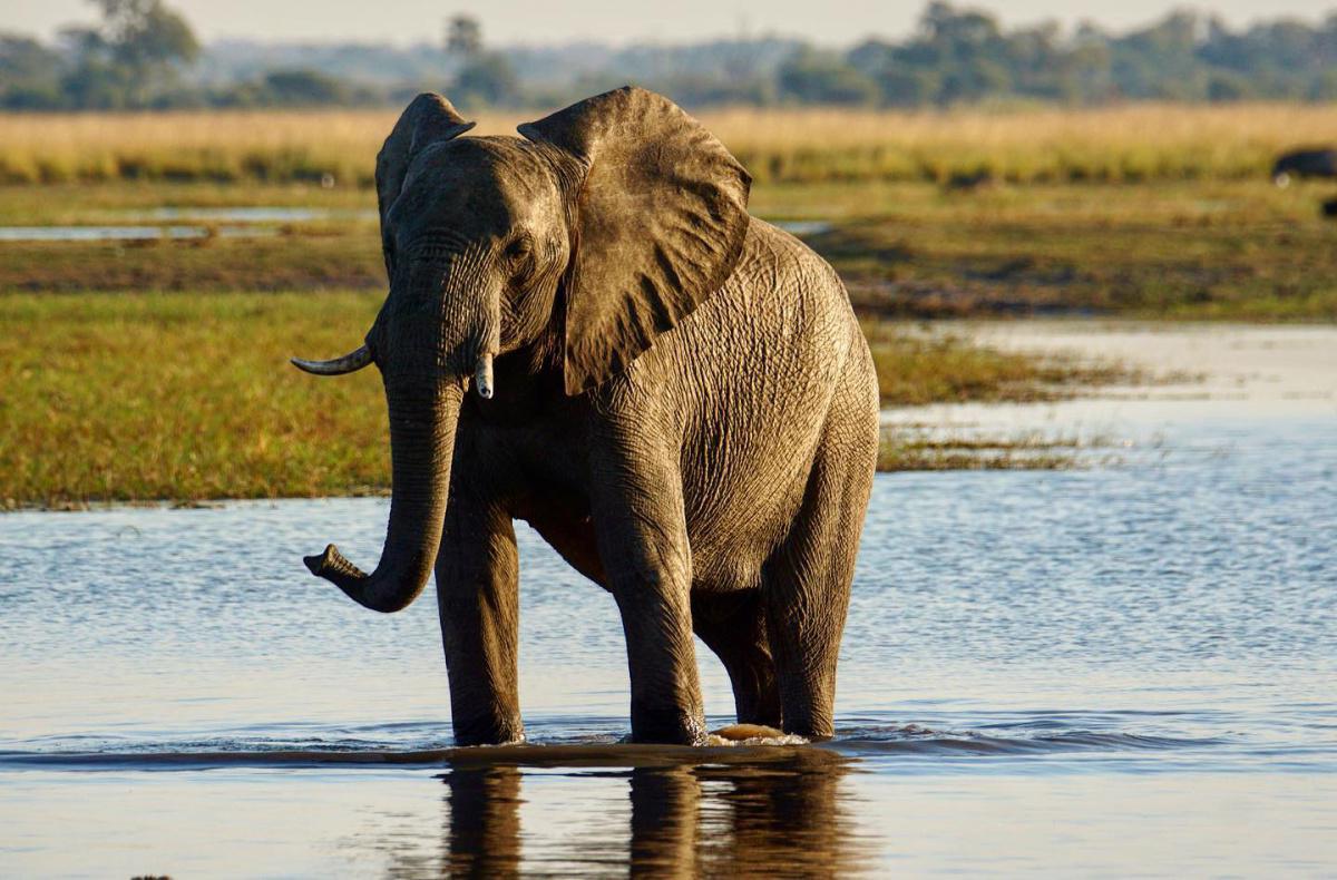 RIVERDANCE Lodge & Spa RIVERDANCE Lodge & Spa